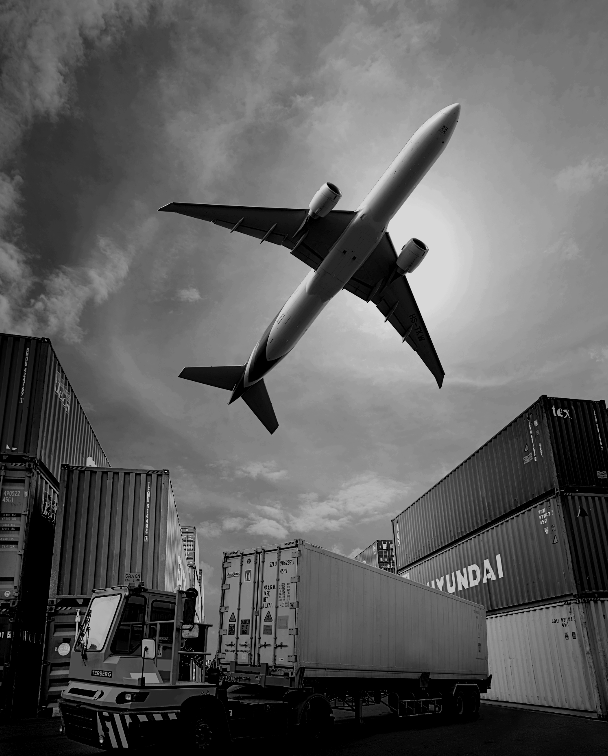 Import Export